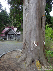 福島大神宮(06)