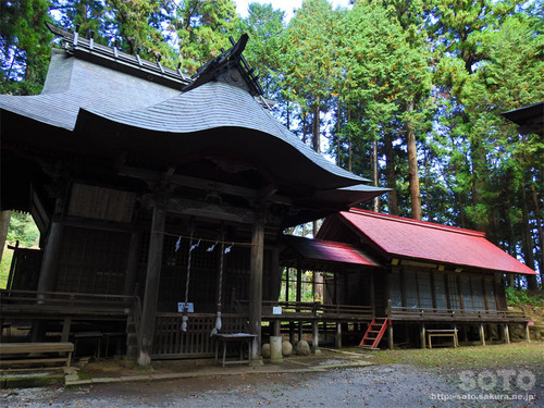 親都神社(拝殿)