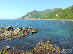 太田山神社周辺の海