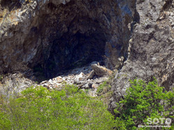 太田山(1)