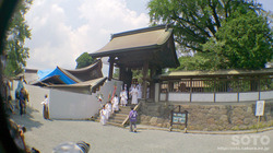 阿蘇神社おんだ祭(4)