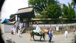 h_Ђ񂾍ՁiTj