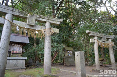 宗像大社(松尾神社)