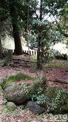 原菅原神社(手水)
