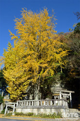 大谷石採石場跡(神社)