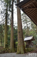 鉾納社(多賀神社)