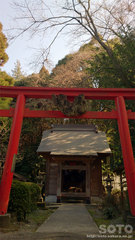 揺ヶ池神社