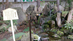 善知鳥神社(5)