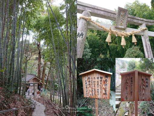 神龍八大龍王神社(2021-1)