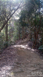 大津山登山道
