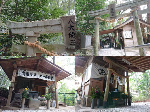 神龍八大龍王神社(2021-2)