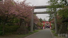 善知鳥神社