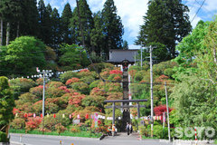 天王神社(遠景)