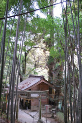 神龍八大龍王神社(1)