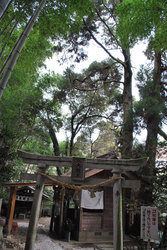 神龍八大龍王神社(3)