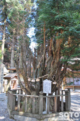 幣立神宮(5)