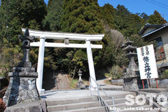 幣立神宮(1)