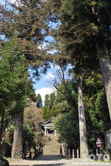 國造神社(鳥居)
