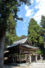 國造神社(拝殿)