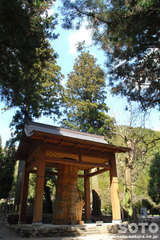 國造神社(手野の大杉)