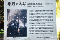 國造神社(大杉 案内板)