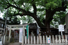 粉河寺(手前の神社)