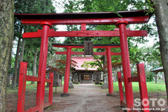 鬼越蒼前神社(鳥居)