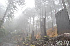 三峯神社(04)