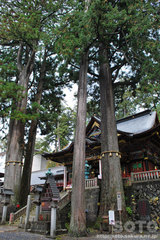 三峯神社(10)