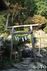 筑波山神社(ご神水)