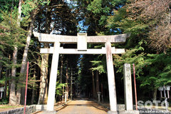 田村神社（２）