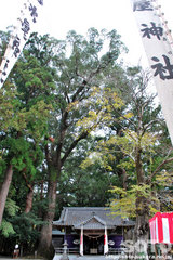 水屋神社(境内)