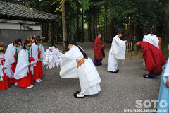 水屋神社(秋季例大祭2)