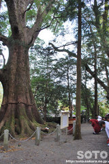 水屋神社(秋季例大祭3)