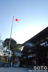 椿神社(拝殿2)