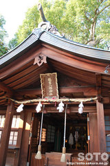 椿神社（５）