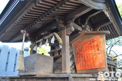 椿神社(8)