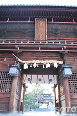 椿神社(2)