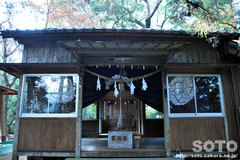 臼杵磨崖仏(日吉神社)