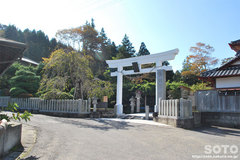 金蛇水神社(鳥居)