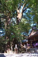 水屋神社(3)
