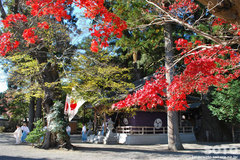 水屋神社(2)
