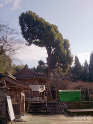 大津山阿蘇神社(5)