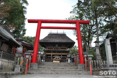 青井阿蘇神社（鳥居）
