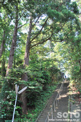 大物忌神社(5)