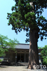大物忌神社(6)