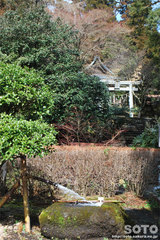 国造神社(1)
