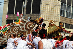 羽幌神社例大祭(本神輿と獅子・2)
