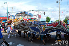 羽幌神社例大祭(獅子・3)