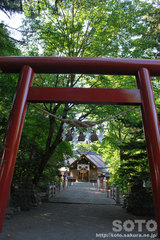 比布神社(2)